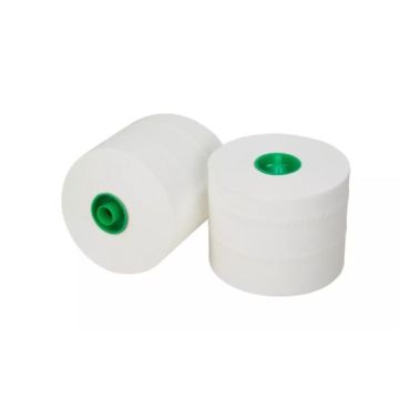 Ecowipe Toiletpapier met dop cellulose 2-laags wit 36 x 100 meter